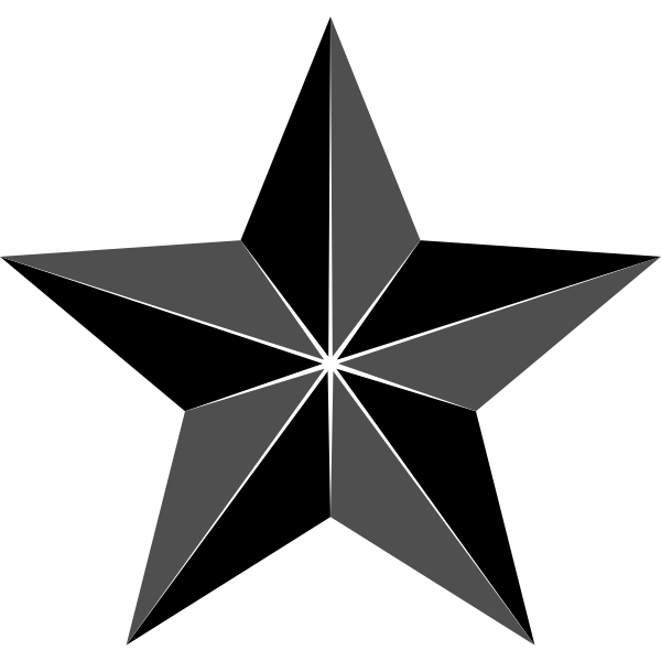SVG Segmented star