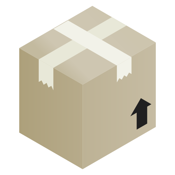 SVG Sellotaped packaging box vector image