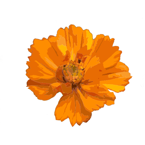 SVG sending photos 2015082518