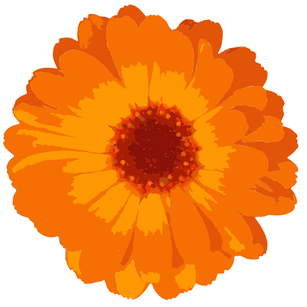 SVG sending photos 3 2015082518
