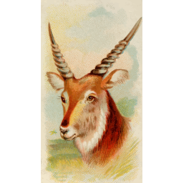 SVG Senegal antelope