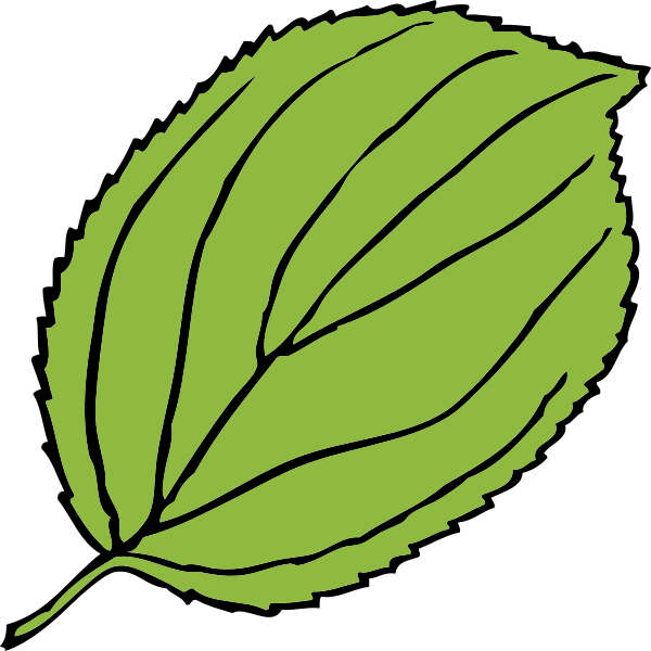 SVG serrate leaf