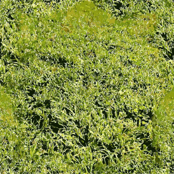 SVG SF Grass 1 2015091137