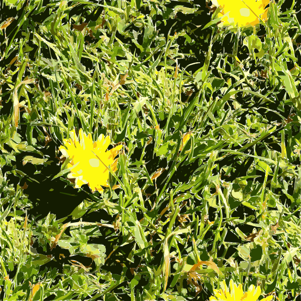 SVG SF Grass 2015091137