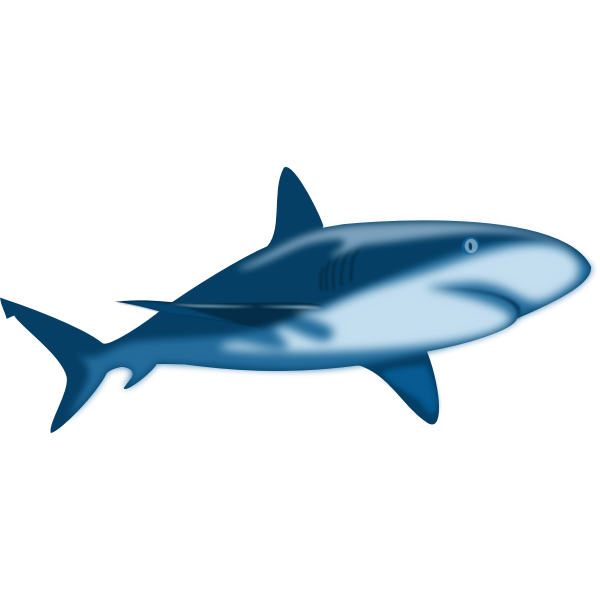 SVG Shaded shark