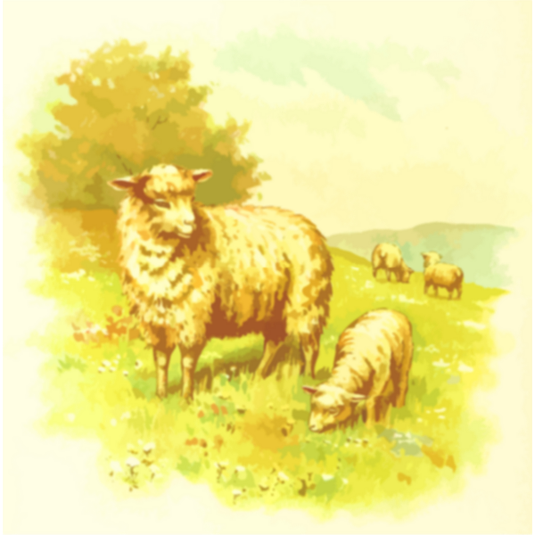 SVG Sheep in a field