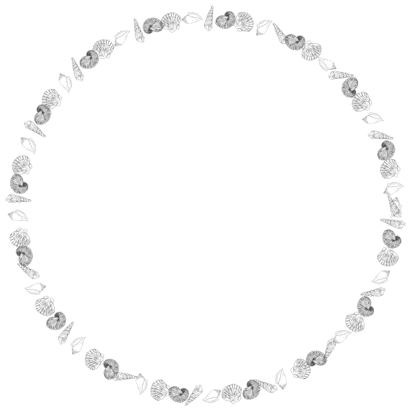 SVG Shell frame