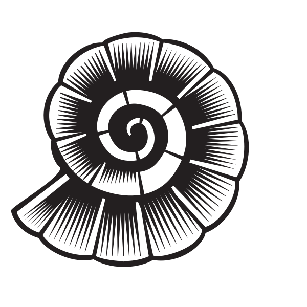 SVG Shell silhouette monochrome art