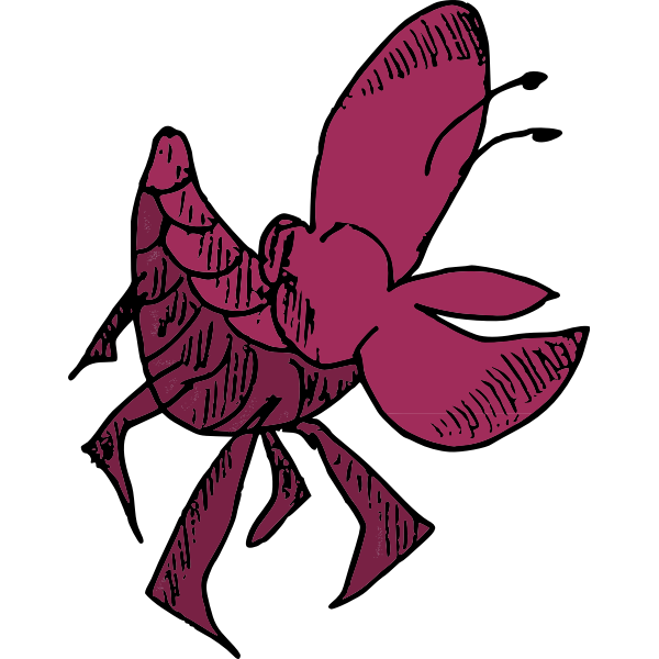SVG Shellfish-1583917526
