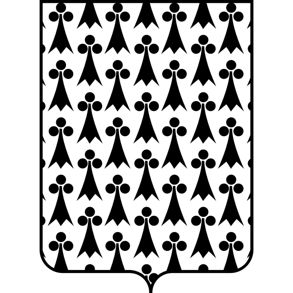 SVG Shield contour image with pattern