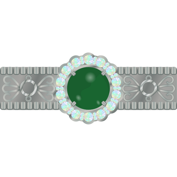 SVG Shiny jewelry vector image