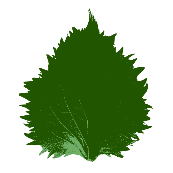 SVG Shiso Leaf-1579522054