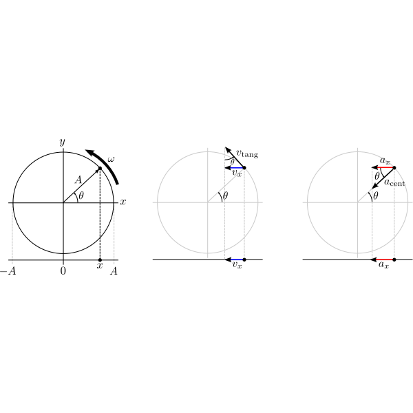SVG shm projection of circular motion