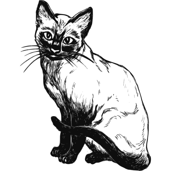 SVG Siamese cat