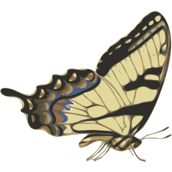 SVG Side view of brown butterfly vector image