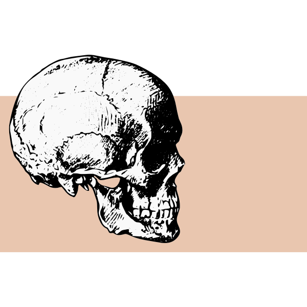 SVG Side view skull