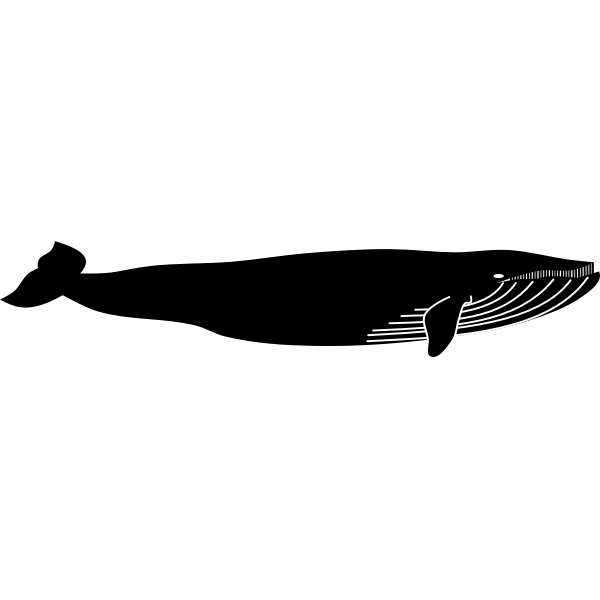 SVG Silhouette vector illustration of whale