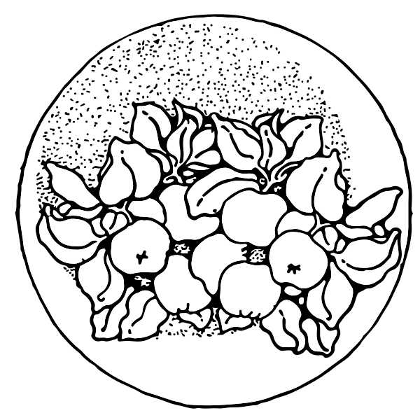SVG Silver apples