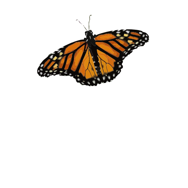SVG Simple butterfly