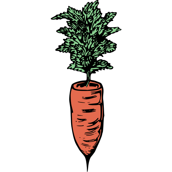 SVG Simple carrot