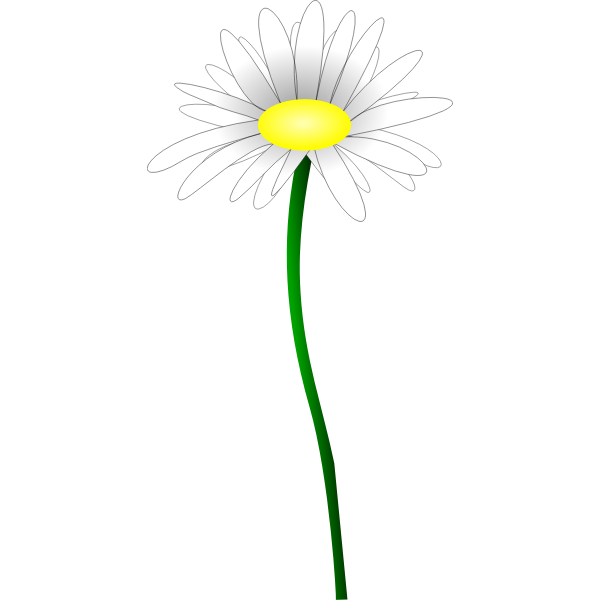 SVG Simple color illustration of a simple daisy