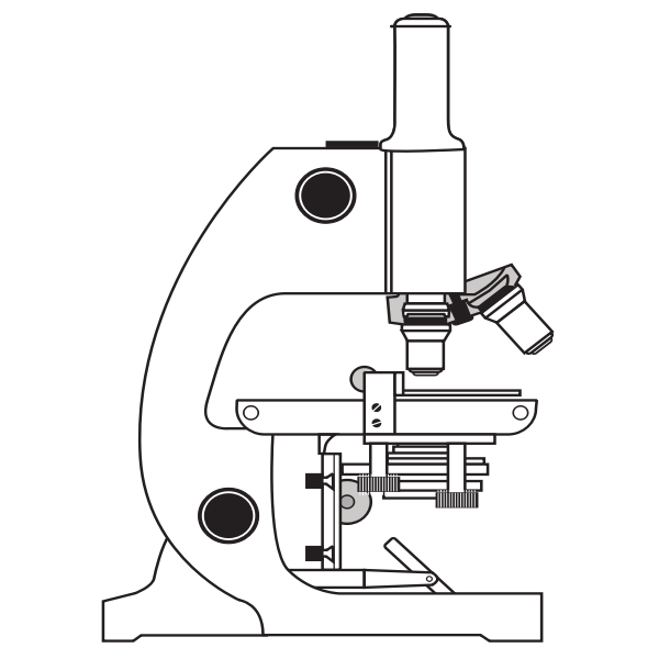 SVG simple microscope
