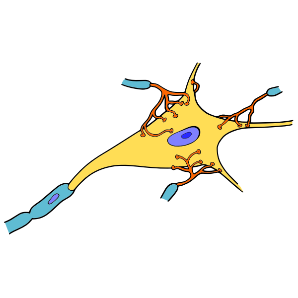 SVG Simple neuron vector drawing