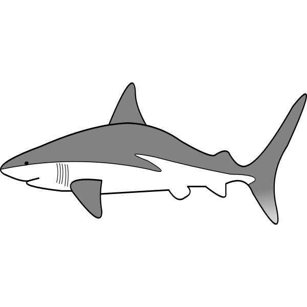 SVG Simple shark