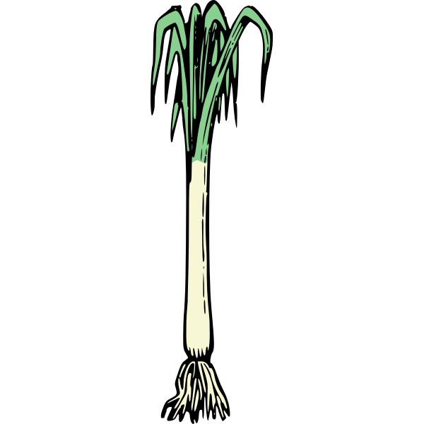 SVG Simple spring onion