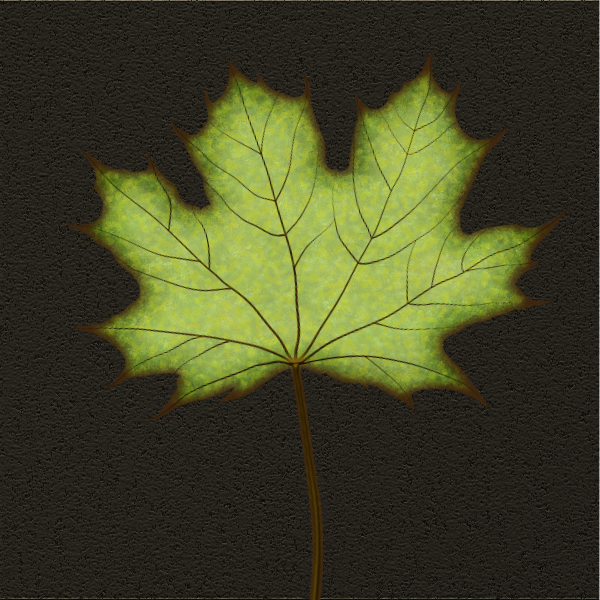 SVG Single dried leaf