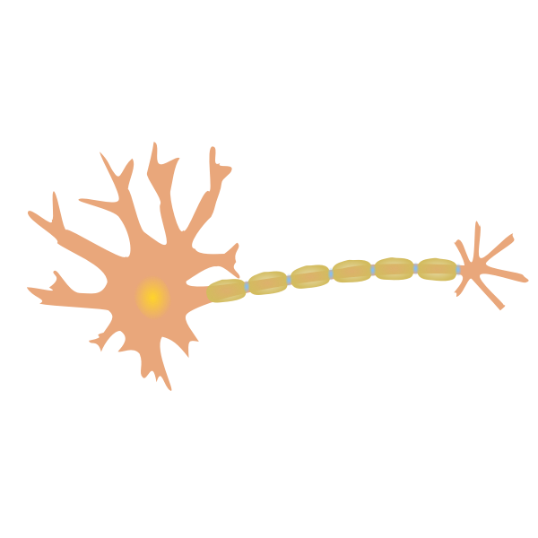 SVG singleneuron