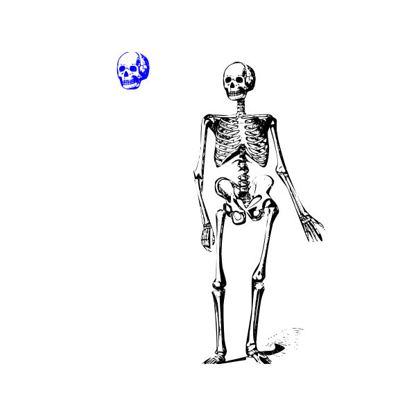 SVG Skeleton