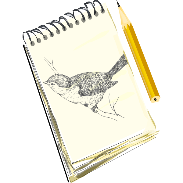 SVG Sketchpad drawing of a bird on a pad