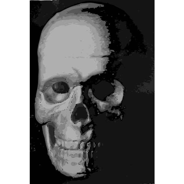 SVG Skull 8c