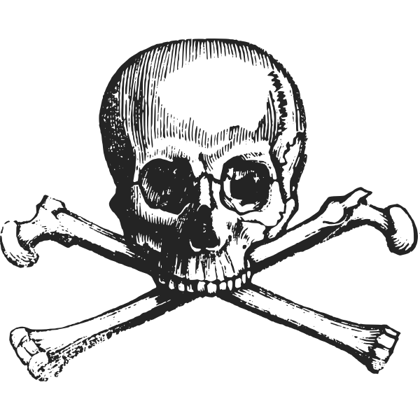 SVG Skull with bones
