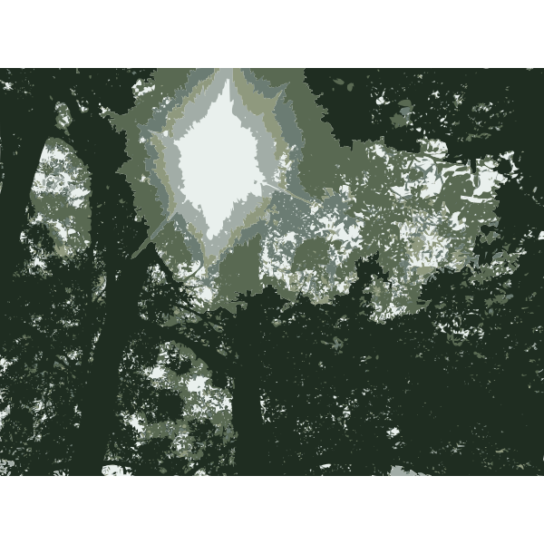 SVG Sleep Day at Vision Forum with the Trees