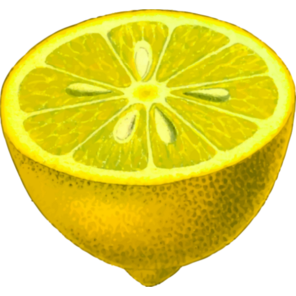 SVG Slice of lemon