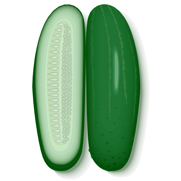 SVG Sliced cucumbers