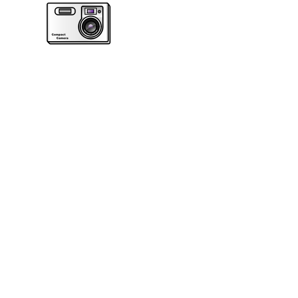 SVG Slim camera icon vector image