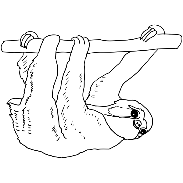 SVG Sloth outline