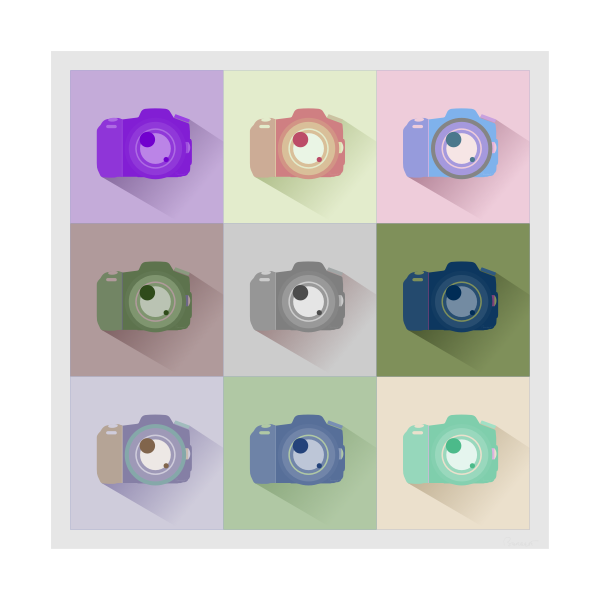 SVG SLR digital photo camera icon set vector image