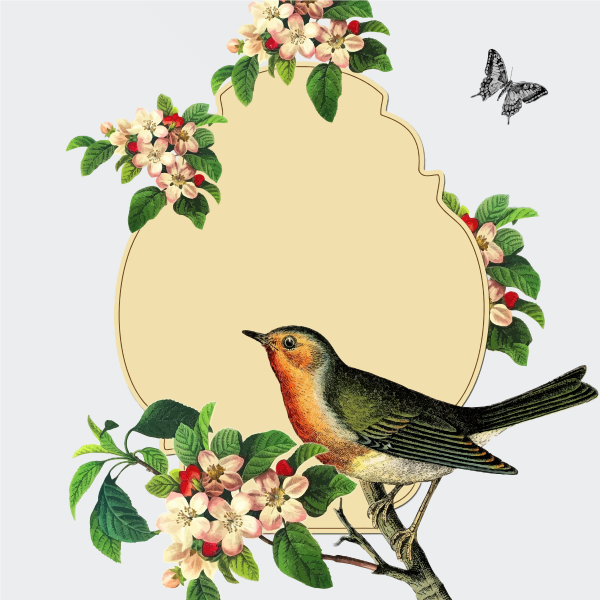 SVG Small bird on an apple blossom tree vector image