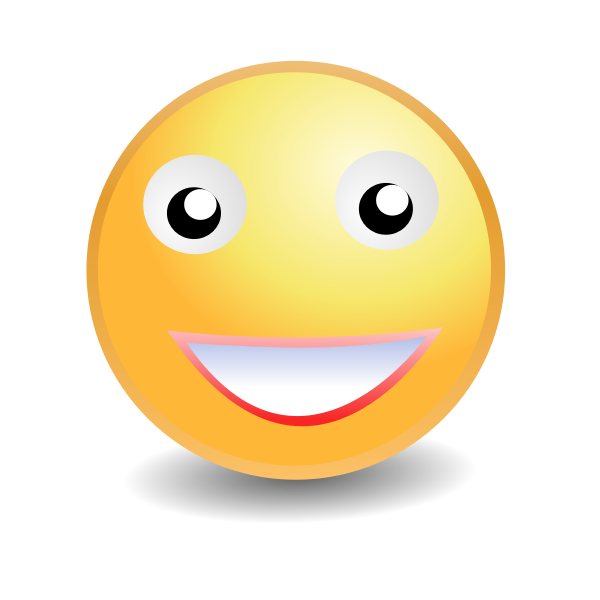 SVG Smiley ladyface vector image