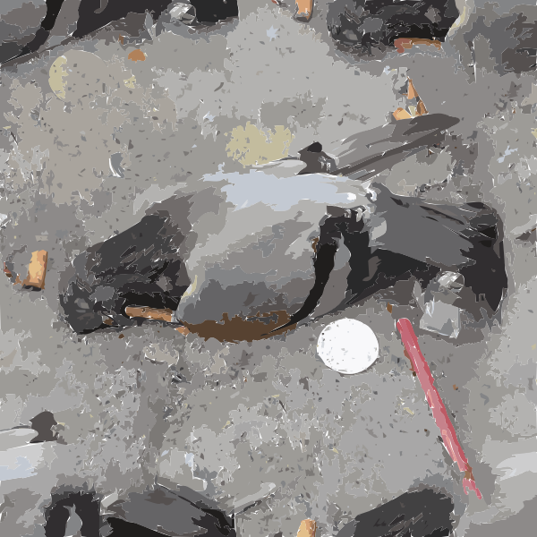SVG smoking kills pigeons 2015082800