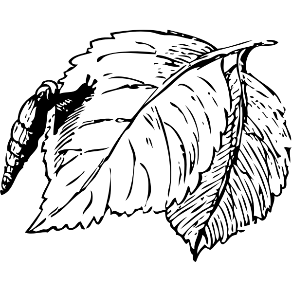 SVG snail