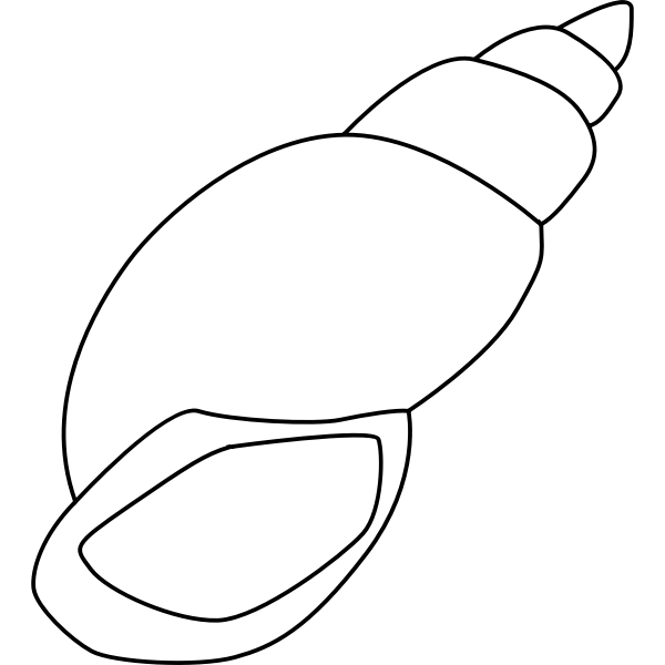 SVG Snail shell-1573461641