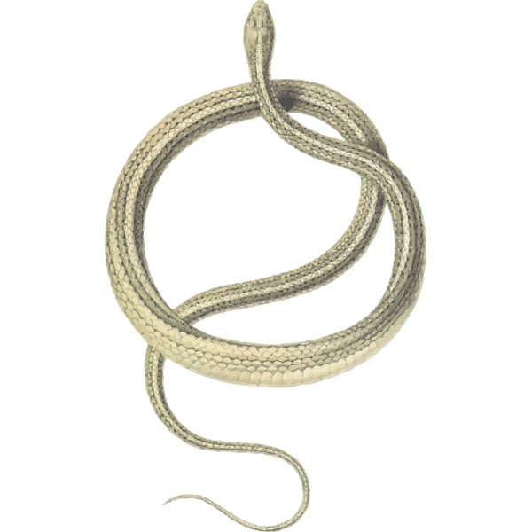 SVG Snake in circle