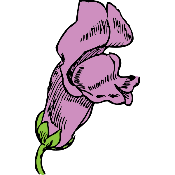 SVG snapdragon