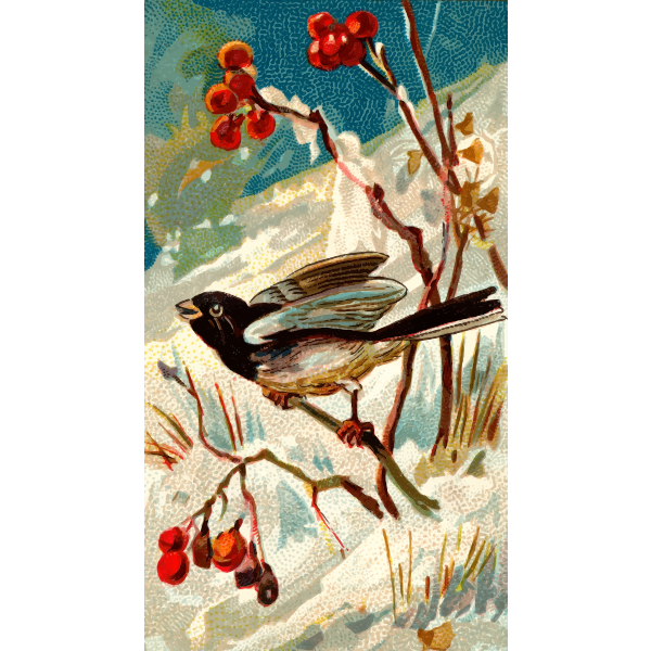 SVG Snow bird