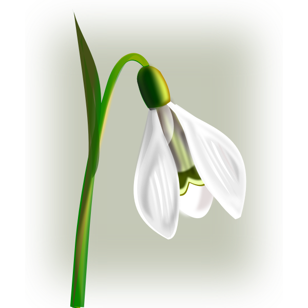 SVG Snowdrop with three petals vector clip art